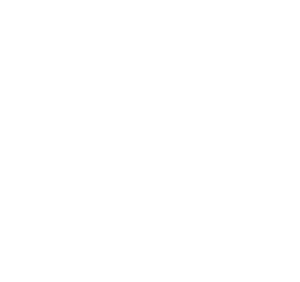 Sealy Mattresses
